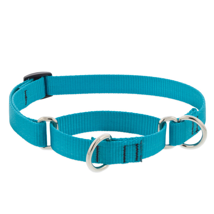 ¾” Basic Solids Aqua martingale, solid azure, cyan limited slip training collar.