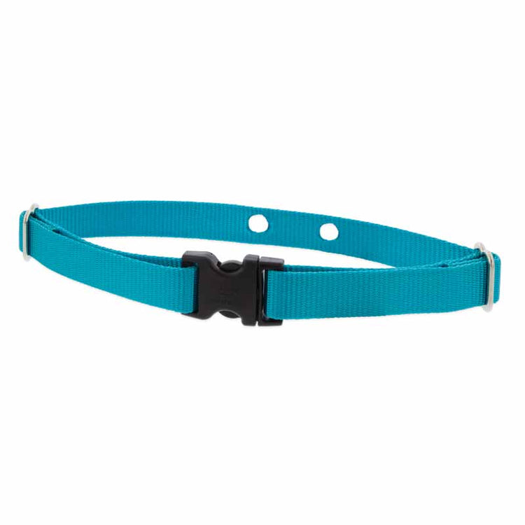 1" Underground fence dog collar with two contact holes and a side-release buckle in the Aqua color