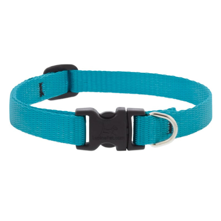 ½” Basic Solids Blue Adjustable Dog Collar, blue color