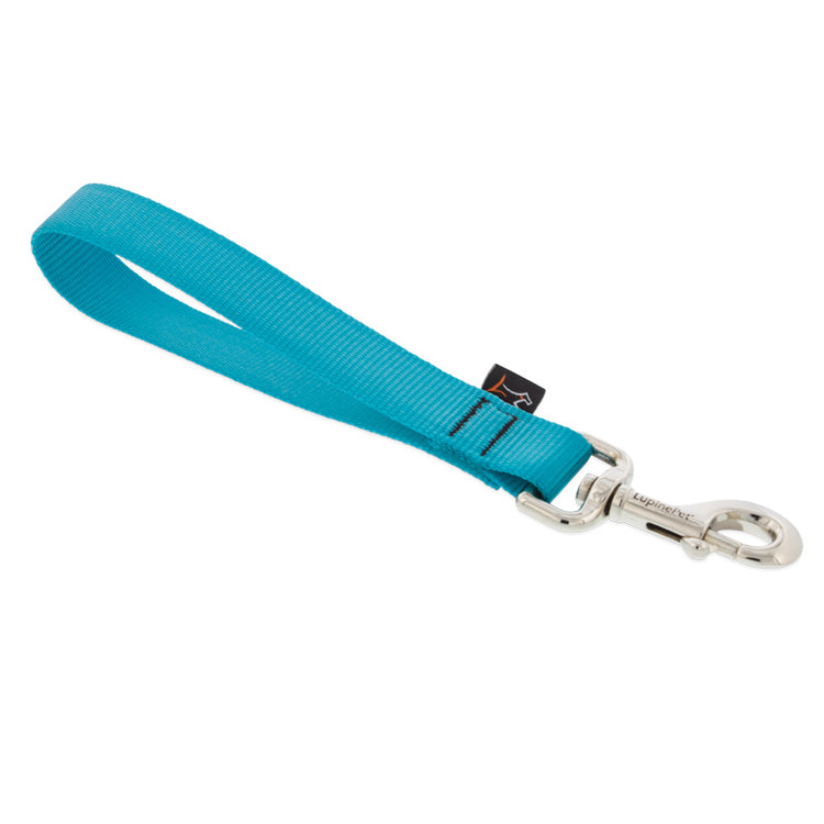 1" wide short training tab leash with a swivel snap in the Aqua color.