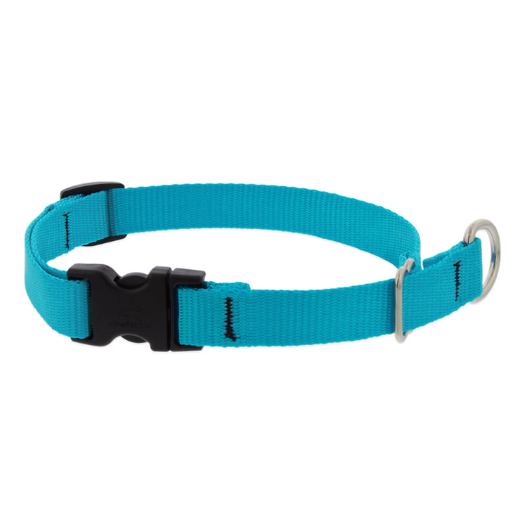 Limited Slip Martingale Training Collar for Dogs from LupinePet in 1in width & 20in-31in Neck Size - Aqua Color