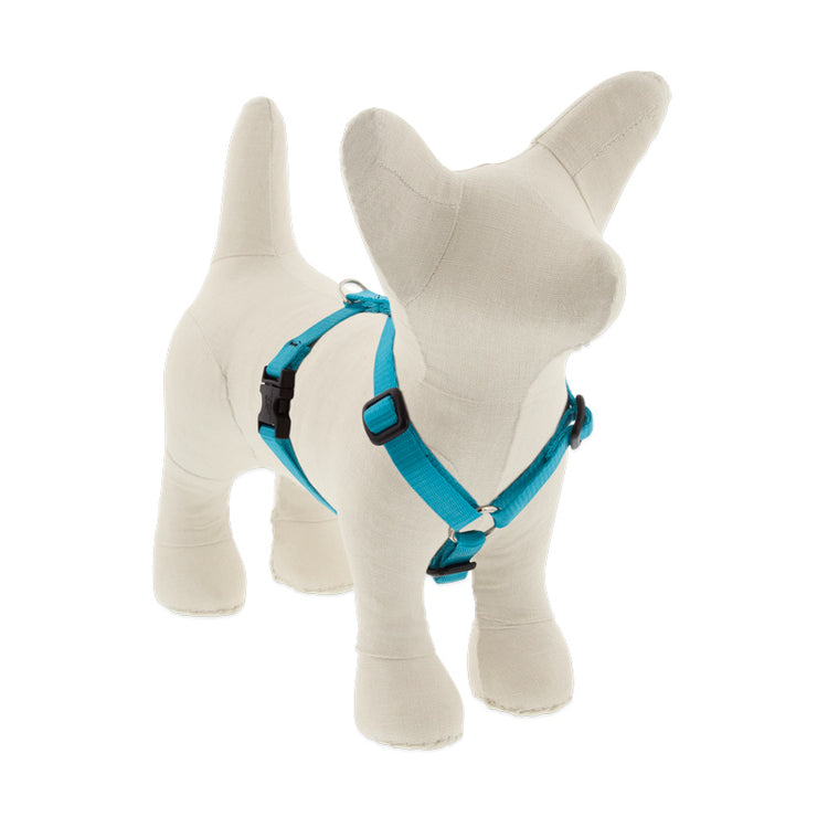 ½” Basic Solids Aqua Roman dog harness, solid azure, cyan color