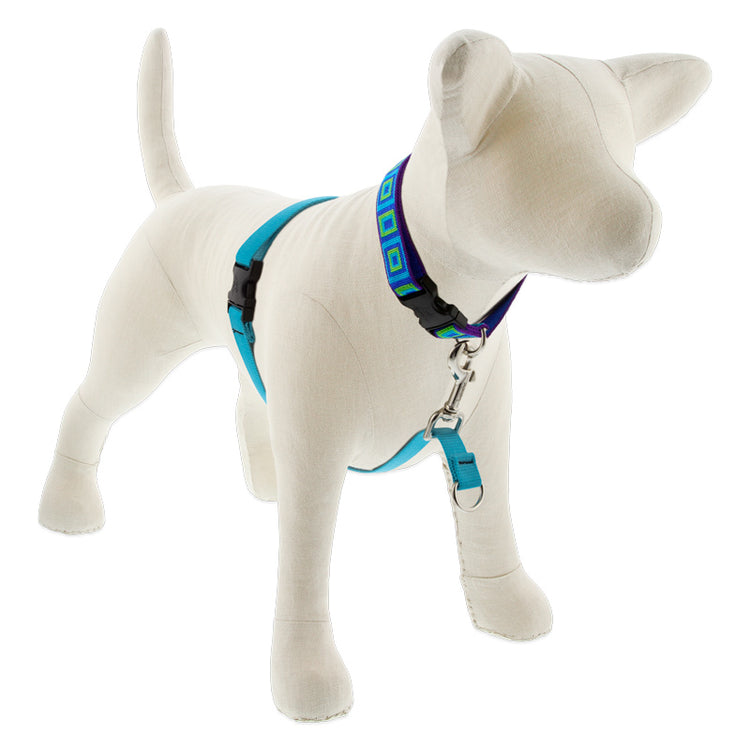 ¾” Solid aqua No-Pull Hrns and dog collar with alternating blue-green squares sea glass pattern