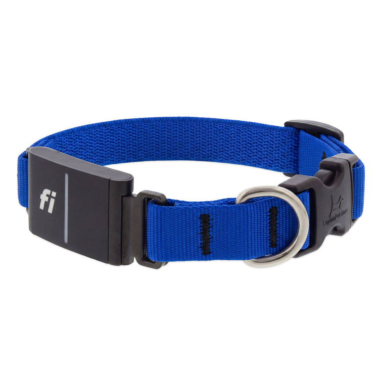 Blue color LupinePet Fi GPS compatible dog collar