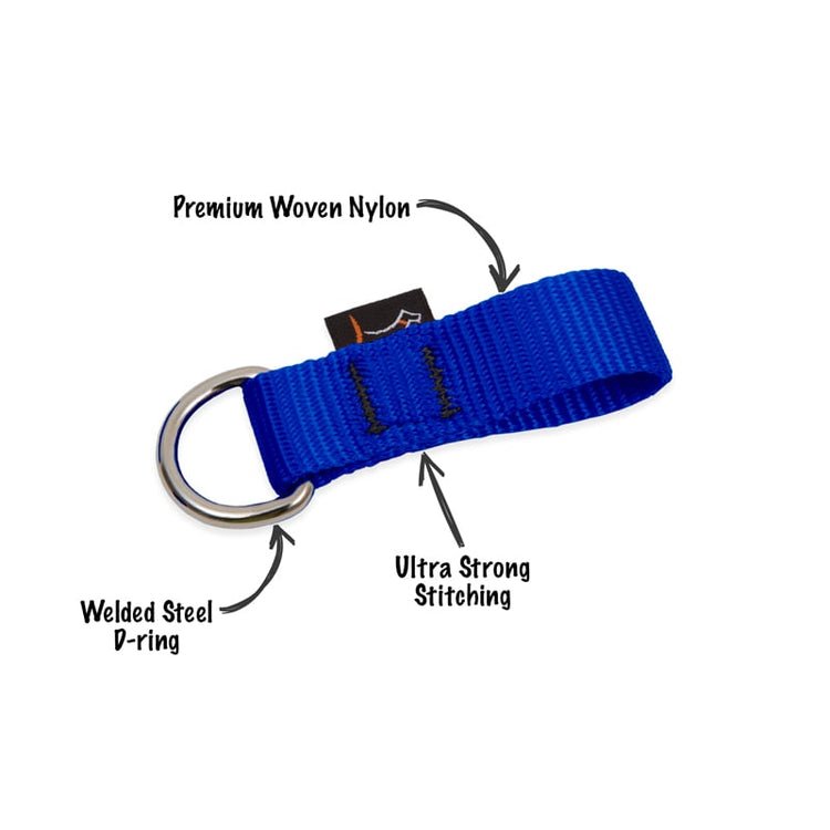 LupinePet Collar Buddy in Basic Blue.