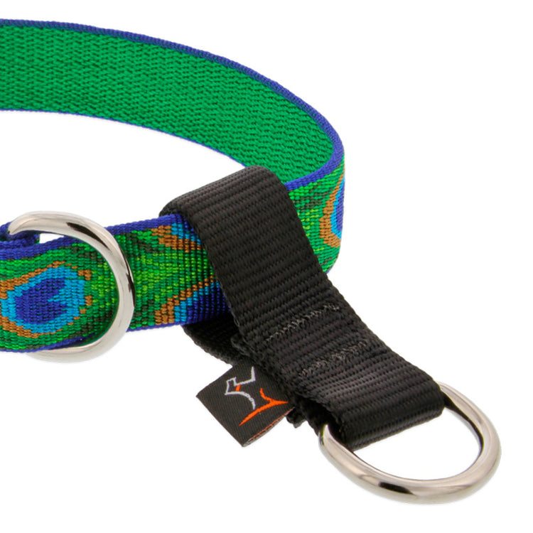 
                    
                      Black Collar Buddy d-ring extender in Tail Feathers dog collar by LupinePet 
                    
                  