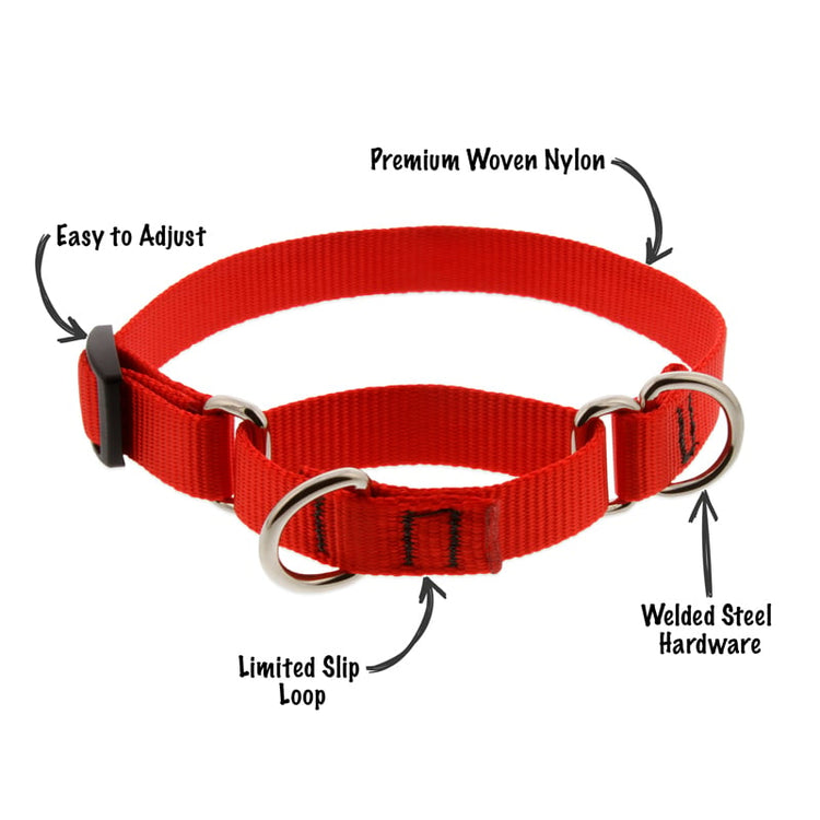Martingale Collar in Basic Solid Red by LupinePet