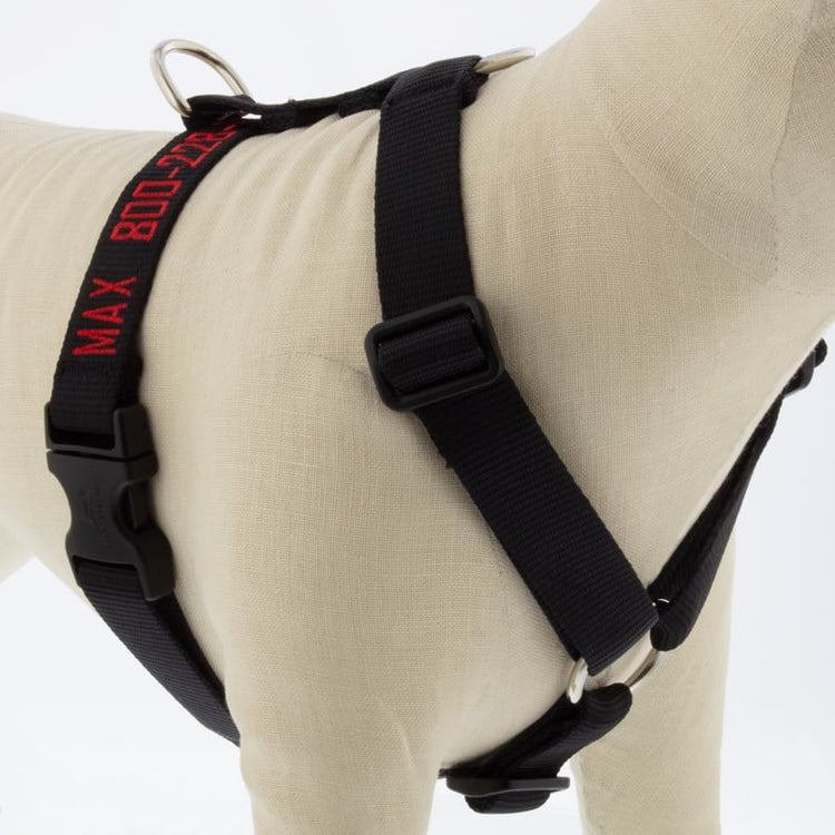 
                    
                      Close up on 1” Basic Solids Black Roman harness. Embroidered with red thread to personalization.
                    
                  