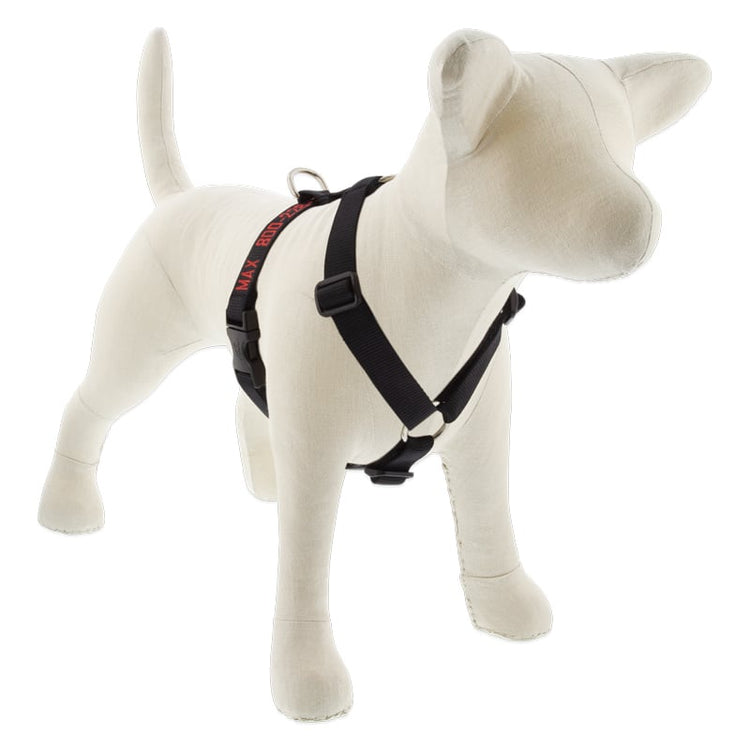 
                    
                      Black Roman Dog Harness with Embroidery from LupinePet - Close-up
                    
                  