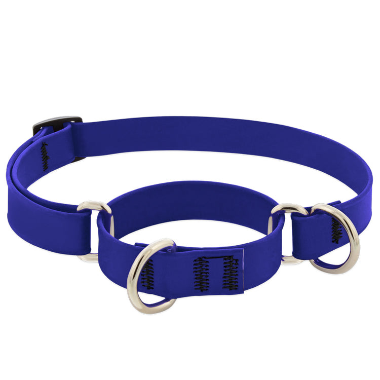 ¾” True Blue Waterproof martingale in LupinePet Splash collection of coated BioThane® webbing