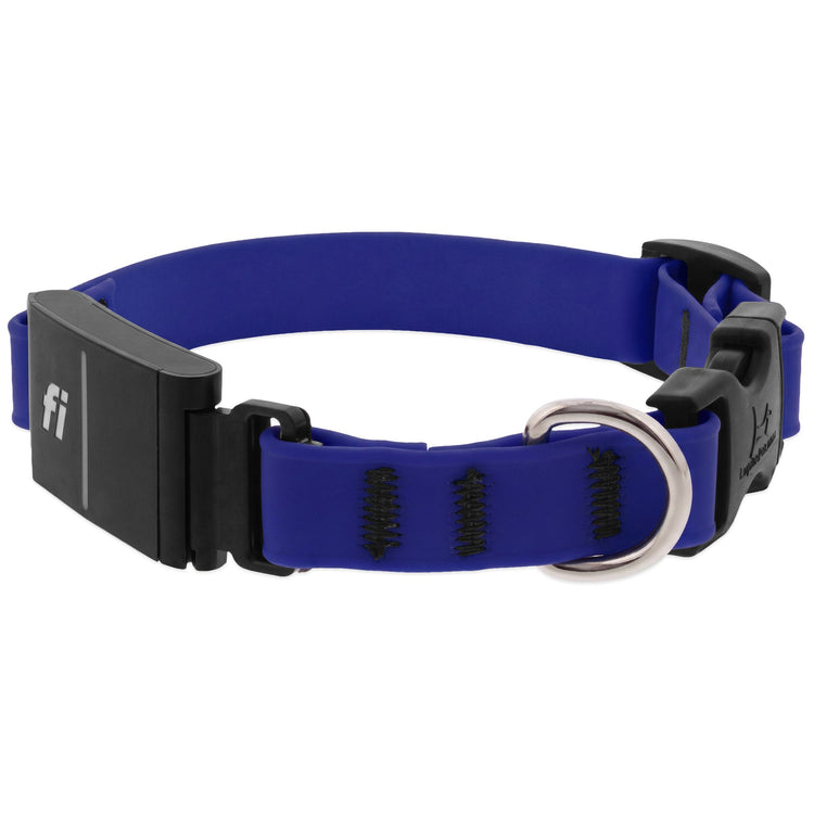 Blue Fi Series 3 & 3+ replacement dog collar on a white background