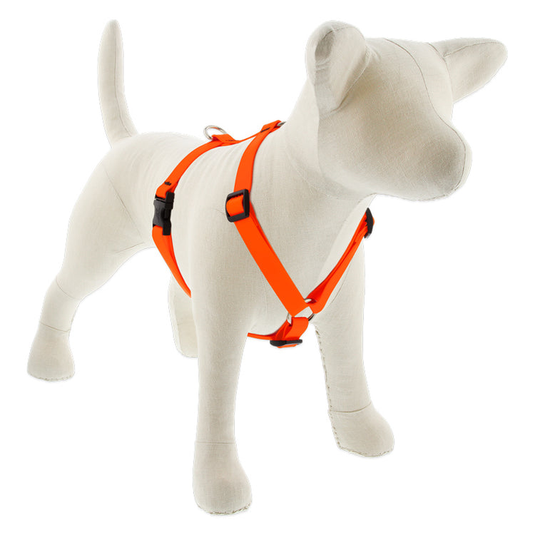 ¾” Neon Orange Waterproof Roman dog harness in coated BioThane® webbing, neon orange color harness