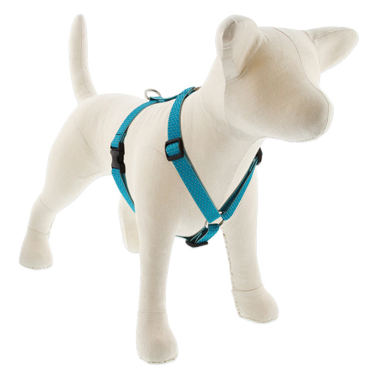 ¾” Eco Tropical Sea teal Roman dog harness on a stuffed dog with a white background