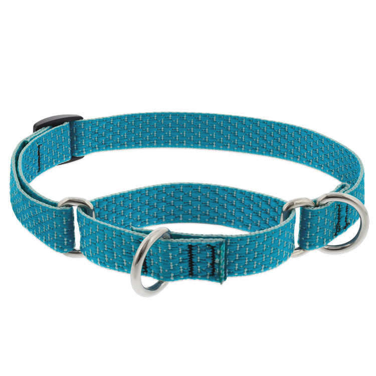 ¾” Eco Tropical Sea martingale base color medium cyan with spotty pale turquoise and border