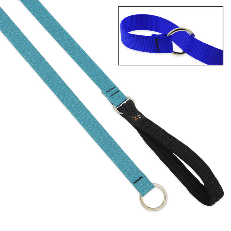Slip Lead All-In-One Dog Leash & Collar from LupinePet in 3/4in width and the Tropical Sea Color