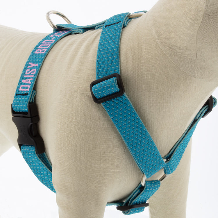
                    
                      Tropical Sea Roman Dog Harness with Embroidery from LupinePet - Close-up
                    
                  