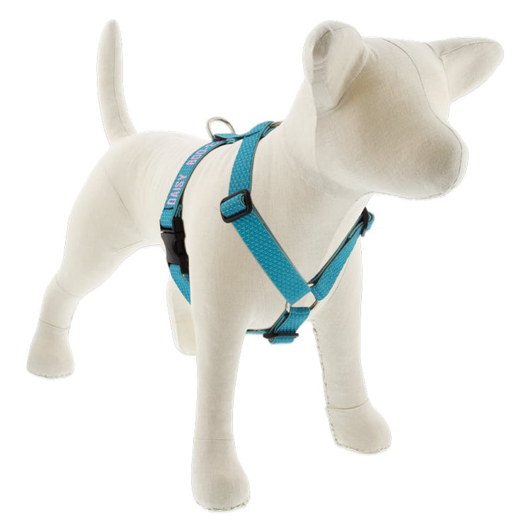 
                    
                      Tropical Sea Roman Dog Harness with Embroidery from LupinePet
                    
                  