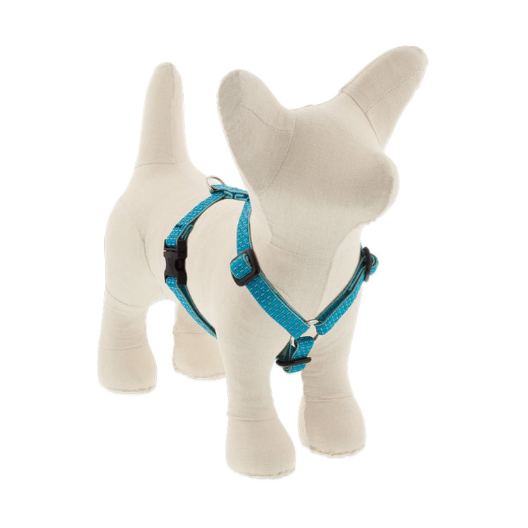 ½” Eco Tropical Sea Roman harness, color medium cyan with spotty pale turquoise on border