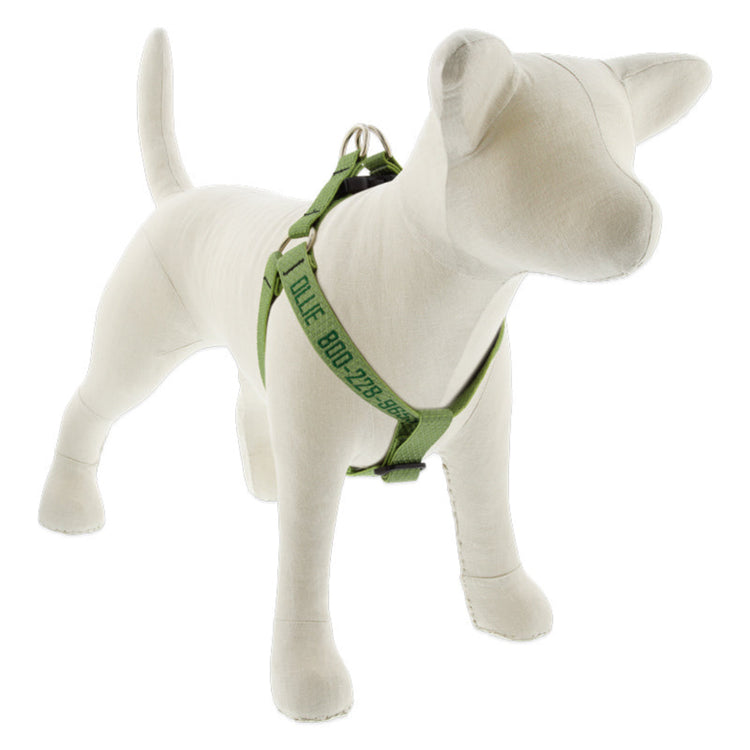 
                    
                      Moss Step In Dog Harness with Personalization from Lupine Pet
                    
                  