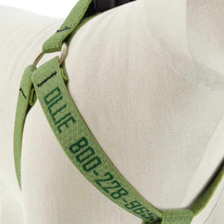 
                    
                      Moss Step In Dog Harness with Personalization from Lupine Pet - Close-up
                    
                  