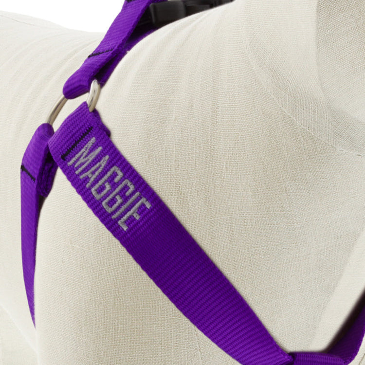 
                    
                      Purple Step In Dog Harness with Personalization from Lupine Pet - Close-up
                    
                  