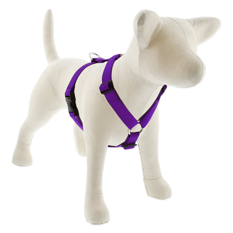 Basic Purple Roman dog harness on a stuffed dog with a white background 