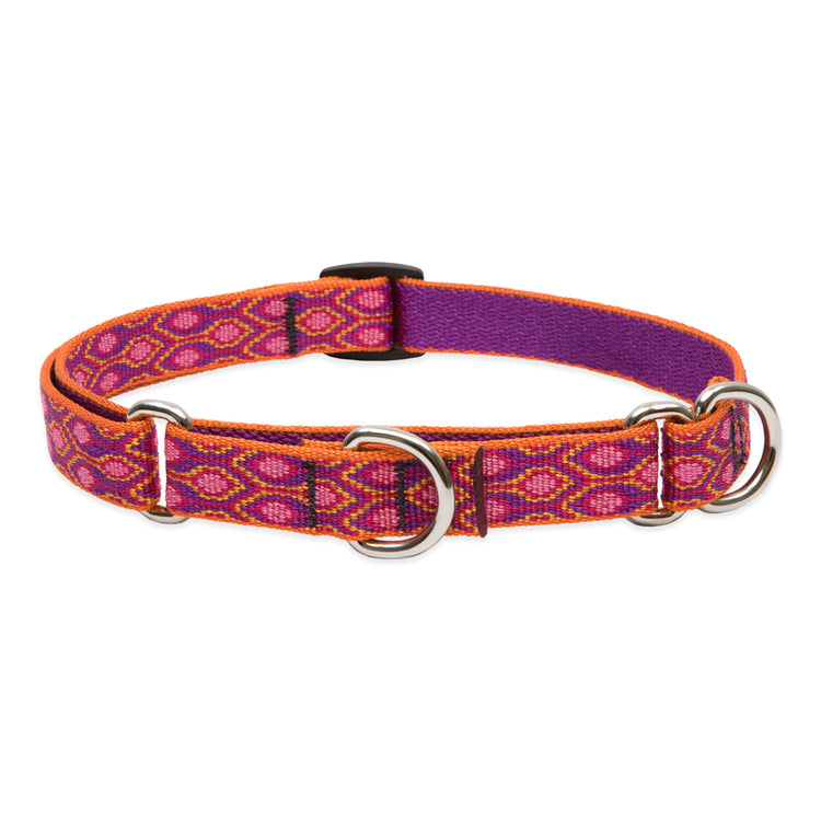 Martingale Training Collar for Dogs from LupinePet in 3/4in width & 14in-20in Neck Size - Alpen Glow Design