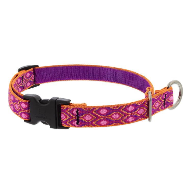LupinePet 3/4in 15in-20in Alpen Glow Limited Slip Training Collar in the Original Designs Collection