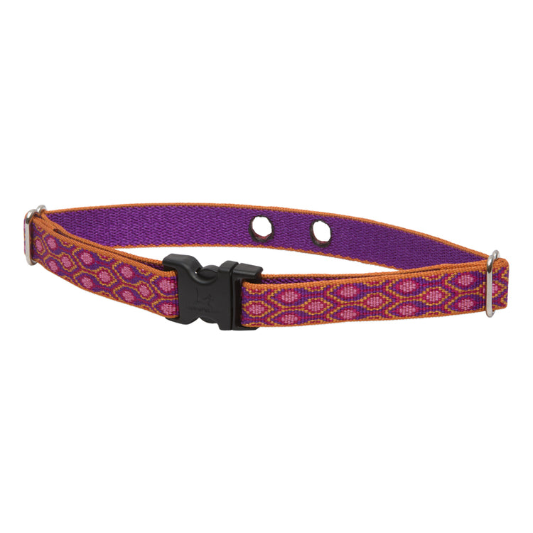 3/4" Underground fence dog collar with two contact holes and a side-release buckle in the Alpen Glow design
