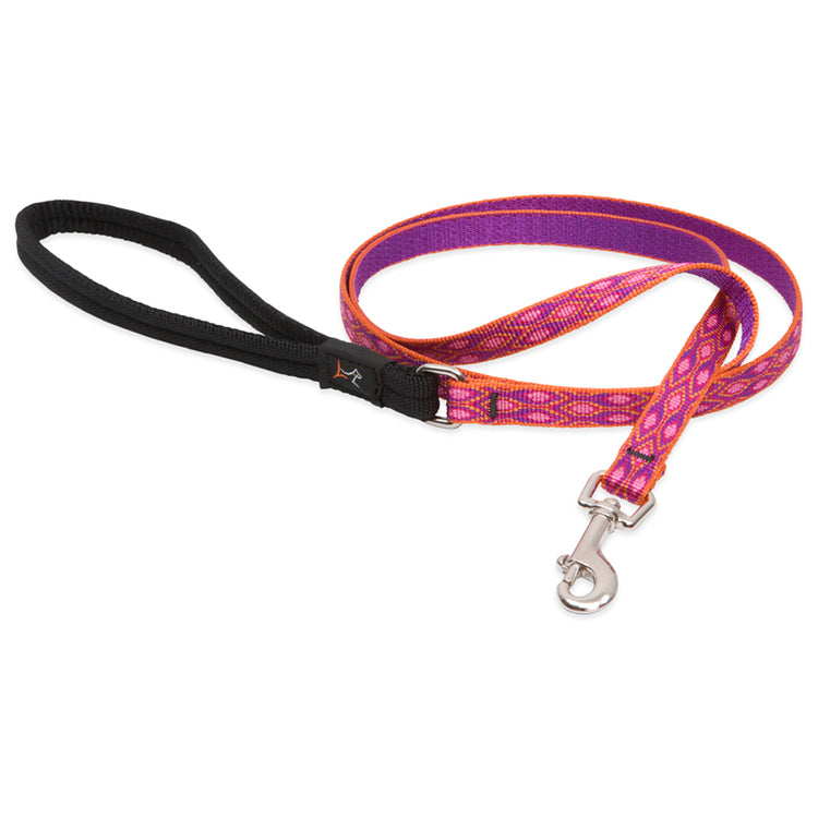 Leash with Padded Handle from LupinePet in 1/2in width & 6ft length - Alpen Glow Design