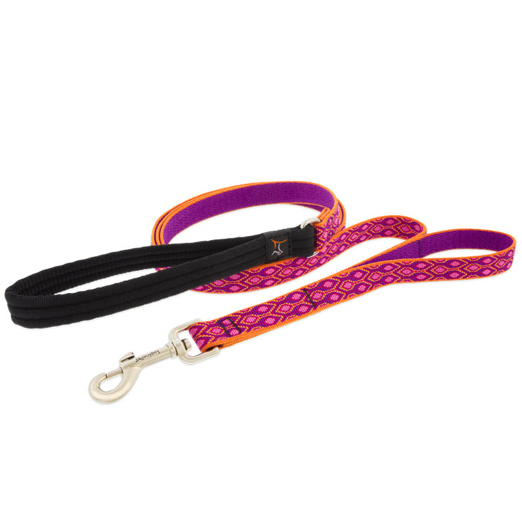6' long double-handle dog leash with swivel snap