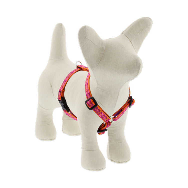 Roman Dog Harness from LupinePet in 1/2in width & 12in-20in Girth Size - Alpen Glow Design