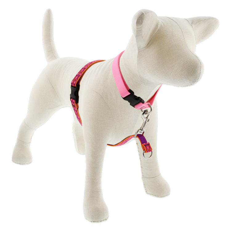 No-Pull Dog Training Harness from LupinePet in 3/4in width & 16in-26in Girth size -Alpen Glow Design