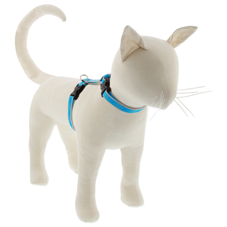 ½” Reflective Blue Diamond Cat H-Style harness, neon blue with reflective border and diamond