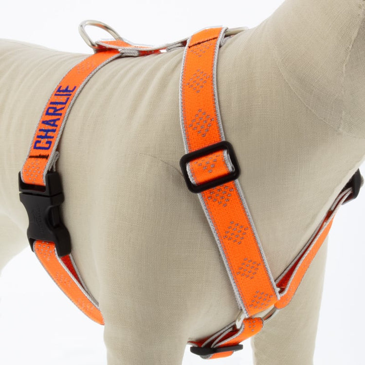 
                    
                       Orange Diamond Reflective Designs by Lupine Pet
                    
                  