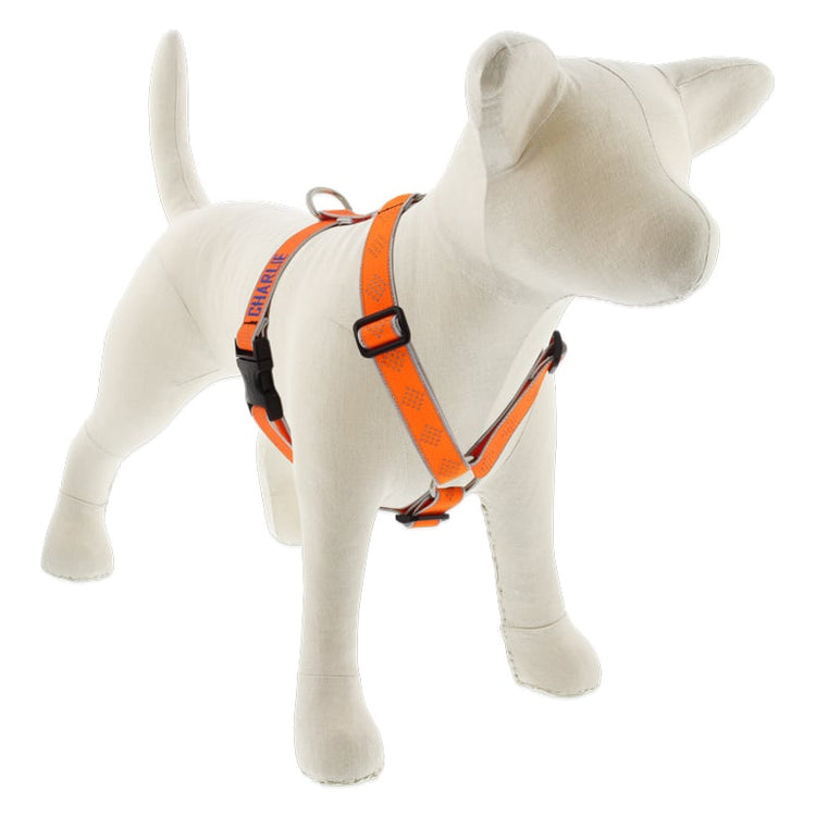 
                    
                      Orange Diamond Roman Dog Harness with Embroidery from LupinePet - Close-up
                    
                  