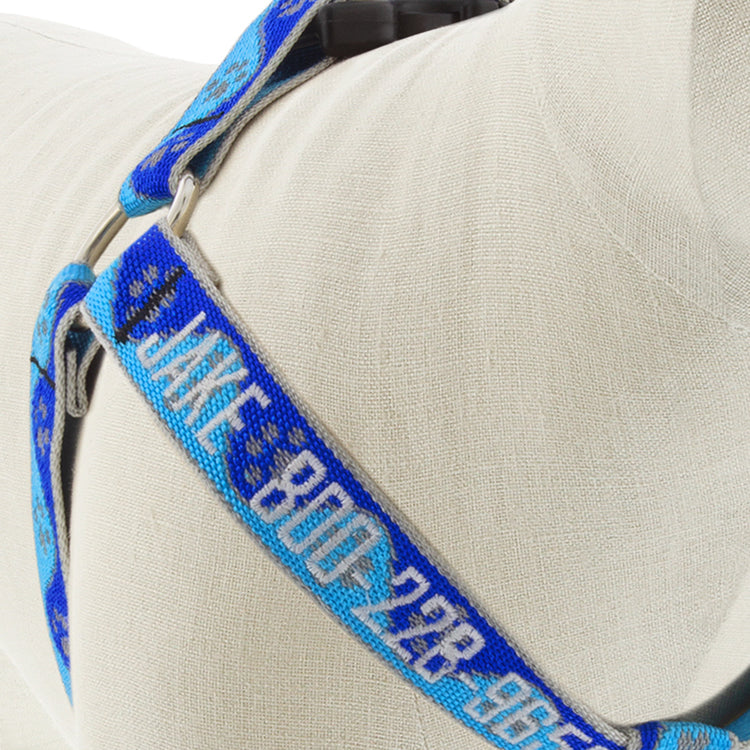 Blue Paws Step In Dog Harness with Embroidery from LupinePet - Close-up