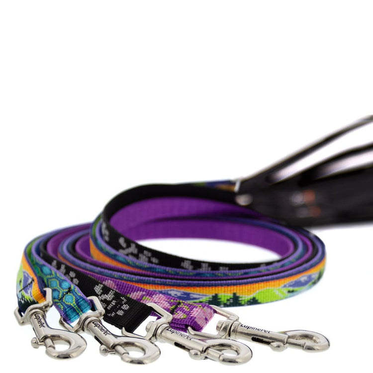 Cat Leashes from LupinePet with a Comfortable Padded Handle in our Original Designs