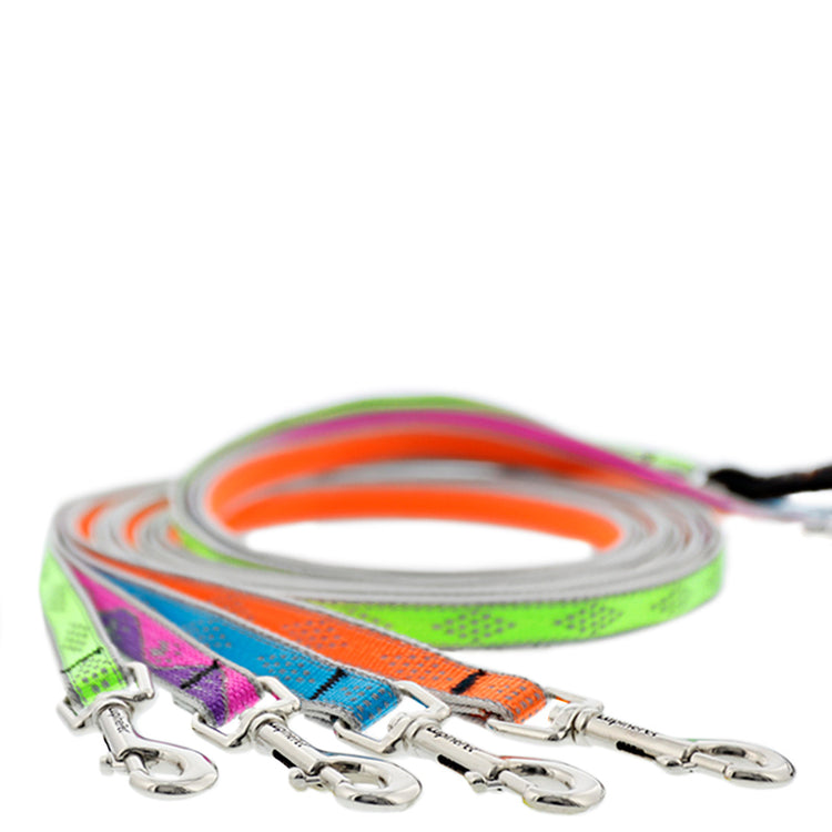 Cat Leashes from LupinePet with a Comfortable Padded Handle in our Reflective Designs