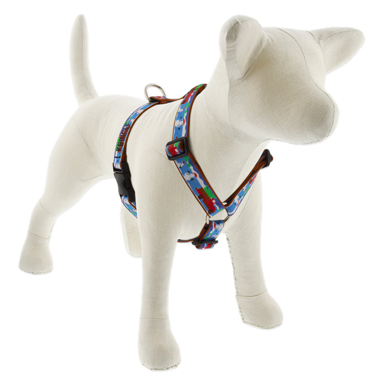 
                    
                      Special Delivery Roman Dog Harness with Embroidery from LupinePet
                    
                  