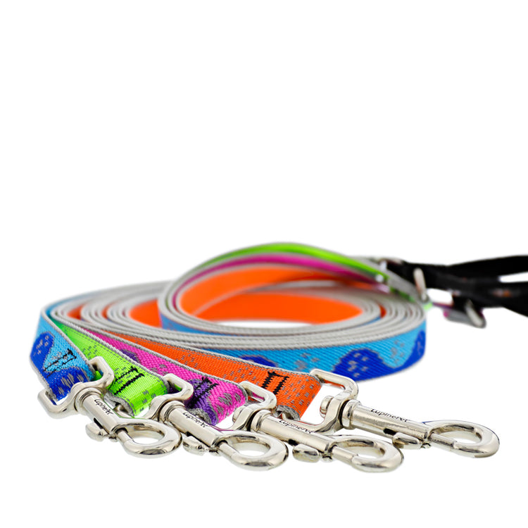 6 foot dog leashes in assorted colors and designs from the Reflective Collection on a white background