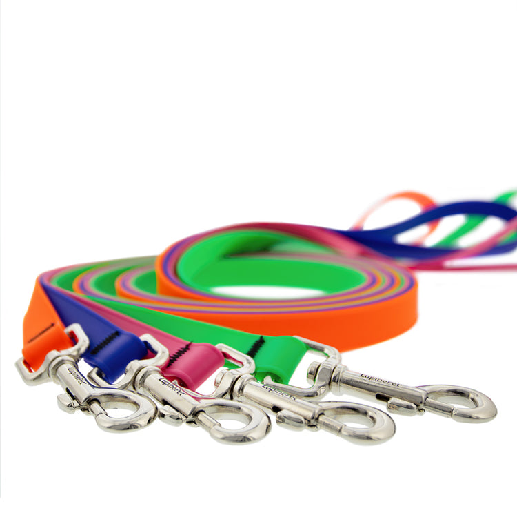 6 food dog leashes in assorted colors from the Splash collection on a white background
