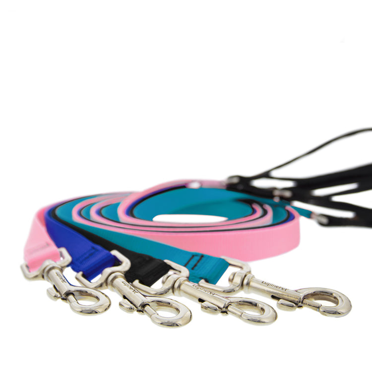Dog Leashes from LupinePet with a Comfortable Padded Handle in Basic Solid Colors