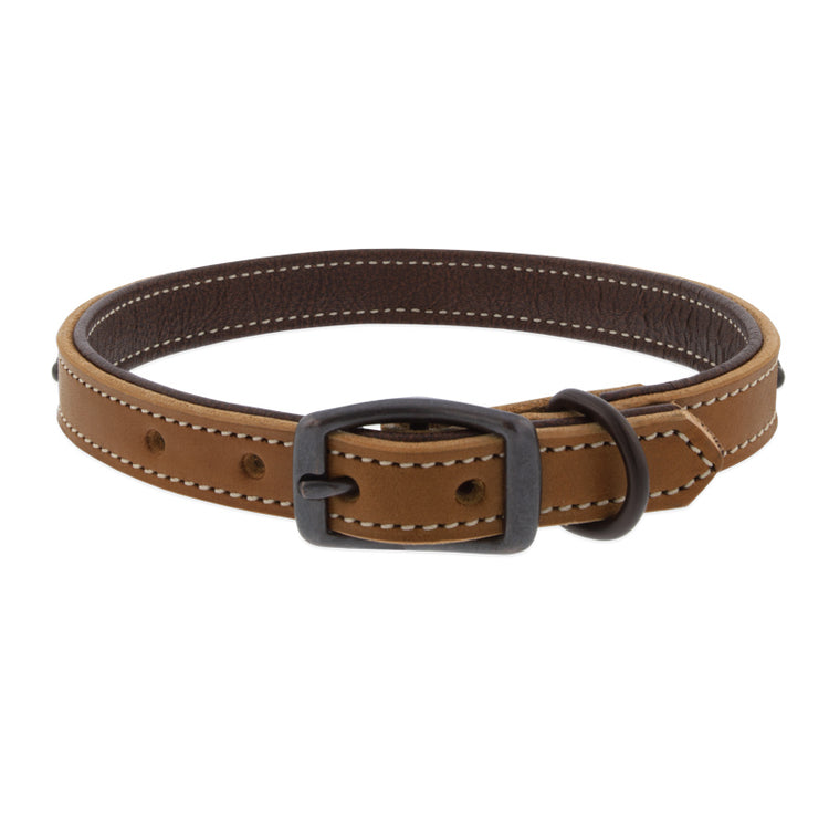 Front view of Outlaw Leather Dog Collar by Weaver.