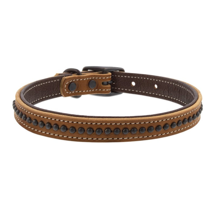 
                    
                      Back view of Outlaw Leather Dog Collar by Weaver.
                    
                  