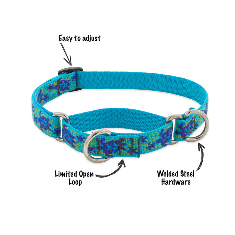 Martingale Collar for dogs by Lupine Pet
