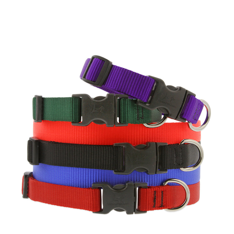 3/4" wide Adjustable Dog Collars in assorted Basic Solids size and colors on a white background