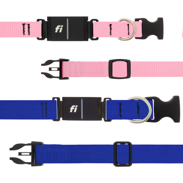 Pink and Blue Fi compatible dog collars with a Fi receiver laying flat on a white background