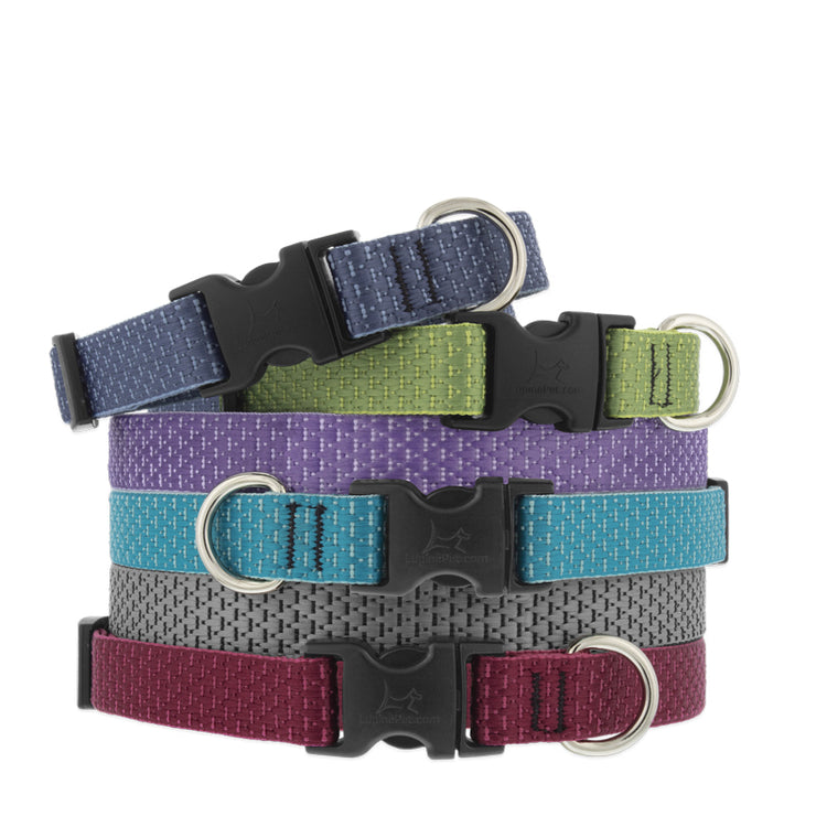 3/4" wide Adjustable Dog Collars in assorted Eco size and colors on a white background