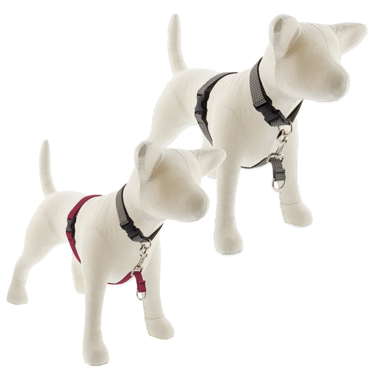 Eco No-Pull harness on a stuffed dog model
